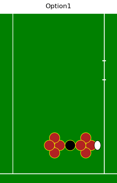 option1.gif